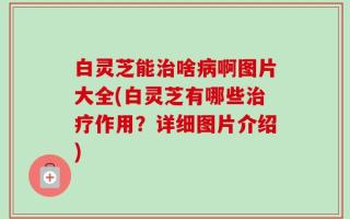 白灵芝能治啥病啊图片大全(白灵芝有哪些治疗作用？详细图片介绍)