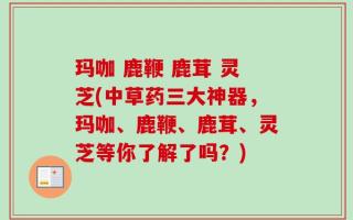 玛咖 鹿鞭 鹿茸 灵芝(中草药三大神器，玛咖、鹿鞭、鹿茸、灵芝等你了解了吗？)