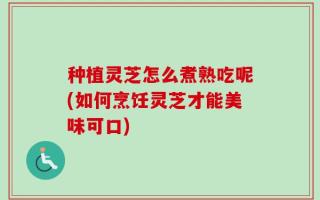 种植灵芝怎么煮熟吃呢(如何烹饪灵芝才能美味可口)