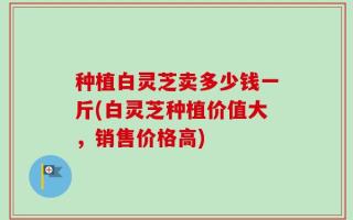 种植白灵芝卖多少钱一斤(白灵芝种植价值大，销售价格高)