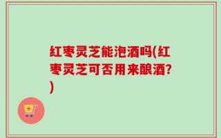红枣灵芝能泡酒吗(红枣灵芝可否用来酿酒？)