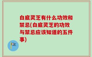 白底灵芝有什么功效和禁忌(白底灵芝的功效与禁忌应该知道的五件事)