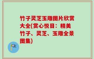 竹子灵芝玉雕图片欣赏大全(赏心悦目：精美竹子、灵芝、玉雕全景图集)