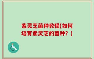 紫灵芝菌种教程(如何培育紫灵芝的菌种？)