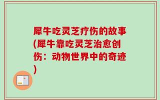 犀牛吃灵芝疗伤的故事(犀牛靠吃灵芝治愈创伤：动物世界中的奇迹)