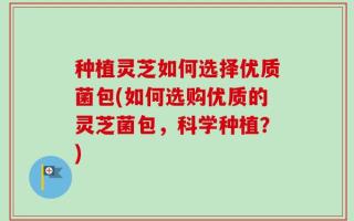 种植灵芝如何选择优质菌包(如何选购优质的灵芝菌包，科学种植？)