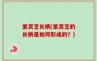紫灵芝长柄(紫灵芝的长柄是如何形成的？)