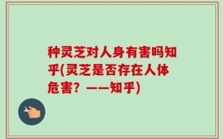 种灵芝对人身有害吗知乎(灵芝是否存在人体危害？——知乎)