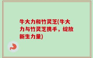 牛大力和竹灵芝(牛大力与竹灵芝携手，绽放新生力量)