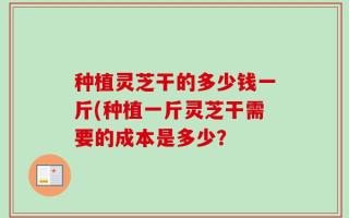 种植灵芝干的多少钱一斤(种植一斤灵芝干需要的成本是多少？