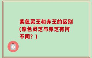 紫色灵芝和赤芝的区别(紫色灵芝与赤芝有何不同？)