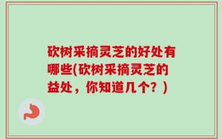 砍树采摘灵芝的好处有哪些(砍树采摘灵芝的益处，你知道几个？)