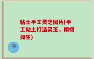 粘土手工灵芝图片(手工粘土打造灵芝，栩栩如生)