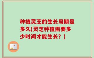 种植灵芝的生长周期是多久(灵芝种植需要多少时间才能生长？)