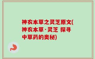 神农本草之灵芝原文(神农本草·灵芝 探寻中草药的奥秘)