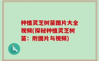种植灵芝树苗图片大全视频(探秘种植灵芝树苗：附图片与视频)