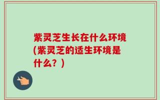 紫灵芝生长在什么环境(紫灵芝的适生环境是什么？)