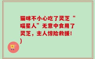 猫咪不小心吃了灵芝“喵星人”无意中食用了灵芝，主人惊险救援！)