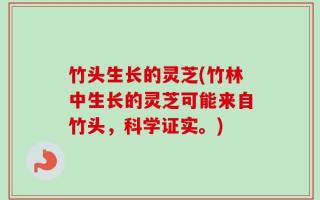 竹头生长的灵芝(竹林中生长的灵芝可能来自竹头，科学证实。)