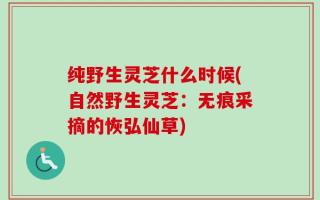纯野生灵芝什么时候(自然野生灵芝：无痕采摘的恢弘仙草)