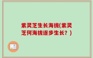 紫灵芝生长海拔(紫灵芝何海拔逐步生长？)