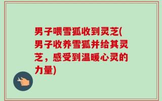 男子喂雪狐收到灵芝(男子收养雪狐并给其灵芝，感受到温暖心灵的力量)