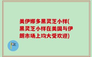 美伊娜多黑灵芝小样(黑灵芝小样在美国与伊朗市场上均大受欢迎)
