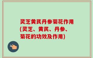 灵芝黄芪丹参菊花作用(灵芝、黄芪、丹参、菊花的功效及作用)