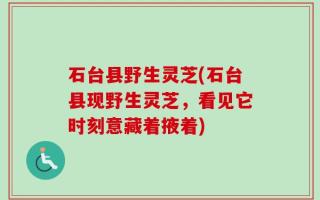 石台县野生灵芝(石台县现野生灵芝，看见它时刻意藏着掖着)