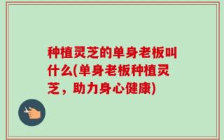 种植灵芝的单身老板叫什么(单身老板种植灵芝，助力身心健康)