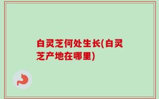 白灵芝何处生长(白灵芝产地在哪里)