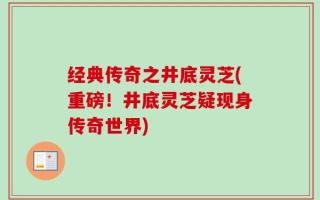 经典传奇之井底灵芝(重磅！井底灵芝疑现身传奇世界)