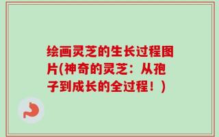 绘画灵芝的生长过程图片(神奇的灵芝：从孢子到成长的全过程！)