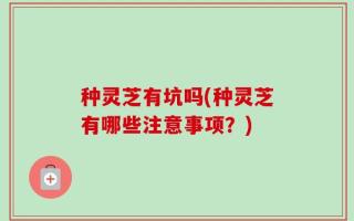 种灵芝有坑吗(种灵芝有哪些注意事项？)