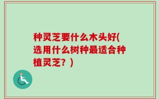 种灵芝要什么木头好(选用什么树种最适合种植灵芝？)