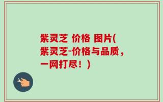 紫灵芝 价格 图片(紫灵芝-价格与品质，一网打尽！)