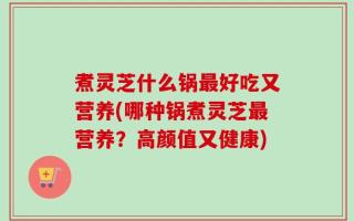 煮灵芝什么锅最好吃又营养(哪种锅煮灵芝最营养？高颜值又健康)