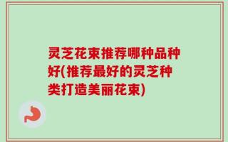 灵芝花束推荐哪种品种好(推荐最好的灵芝种类打造美丽花束)