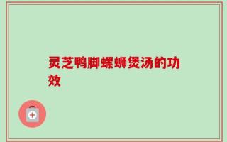 灵芝鸭脚螺蛳煲汤的功效
