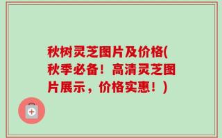 秋树灵芝图片及价格(秋季必备！高清灵芝图片展示，价格实惠！)