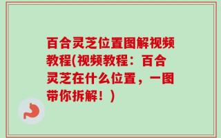 百合灵芝位置图解视频教程(视频教程：百合灵芝在什么位置，一图带你拆解！)