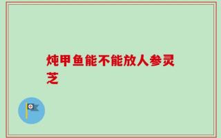 炖甲鱼能不能放人参灵芝