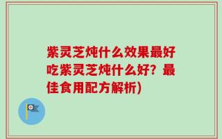 紫灵芝炖什么效果最好吃紫灵芝炖什么好？最佳食用配方解析)