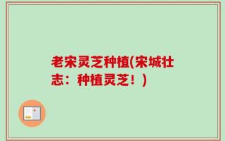 老宋灵芝种植(宋城壮志：种植灵芝！)