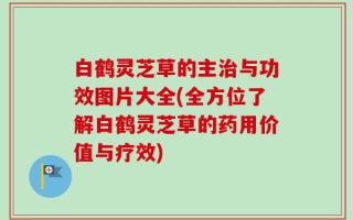 白鹤灵芝草的主治与功效图片大全(全方位了解白鹤灵芝草的药用价值与疗效)