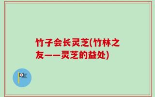 竹子会长灵芝(竹林之友——灵芝的益处)