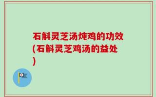石斛灵芝汤炖鸡的功效(石斛灵芝鸡汤的益处)