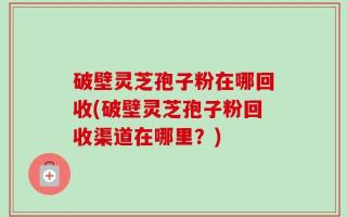 破壁灵芝孢子粉在哪回收(破壁灵芝孢子粉回收渠道在哪里？)
