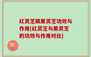 红灵芝跟黑灵芝功效与作用(红灵芝与黑灵芝的功效与作用对比)