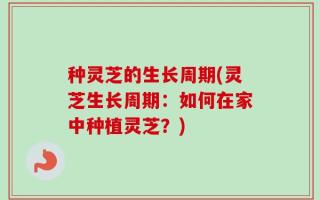 种灵芝的生长周期(灵芝生长周期：如何在家中种植灵芝？)